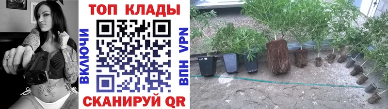 Что такое Велиж ГАШ  Alpha PVP  Меф мяу мяу  АМФЕТАМИН  COCAIN  Каннабис 