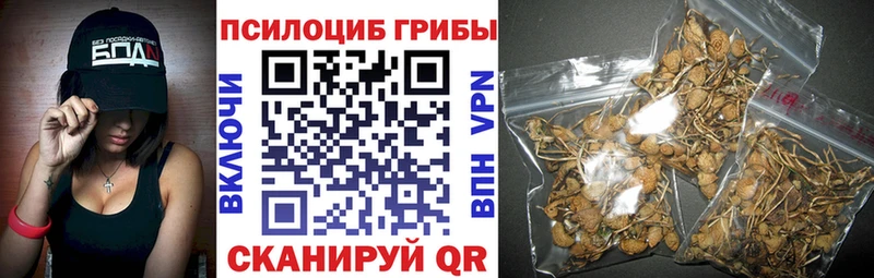 цены   Велиж  ссылка на мегу ТОР  Галлюциногенные грибы Psilocybe 